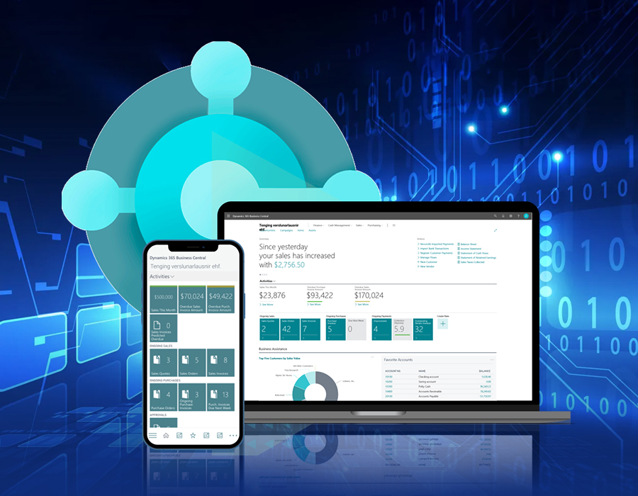 Microsoft Dynamics 365 (ERP/CRM)